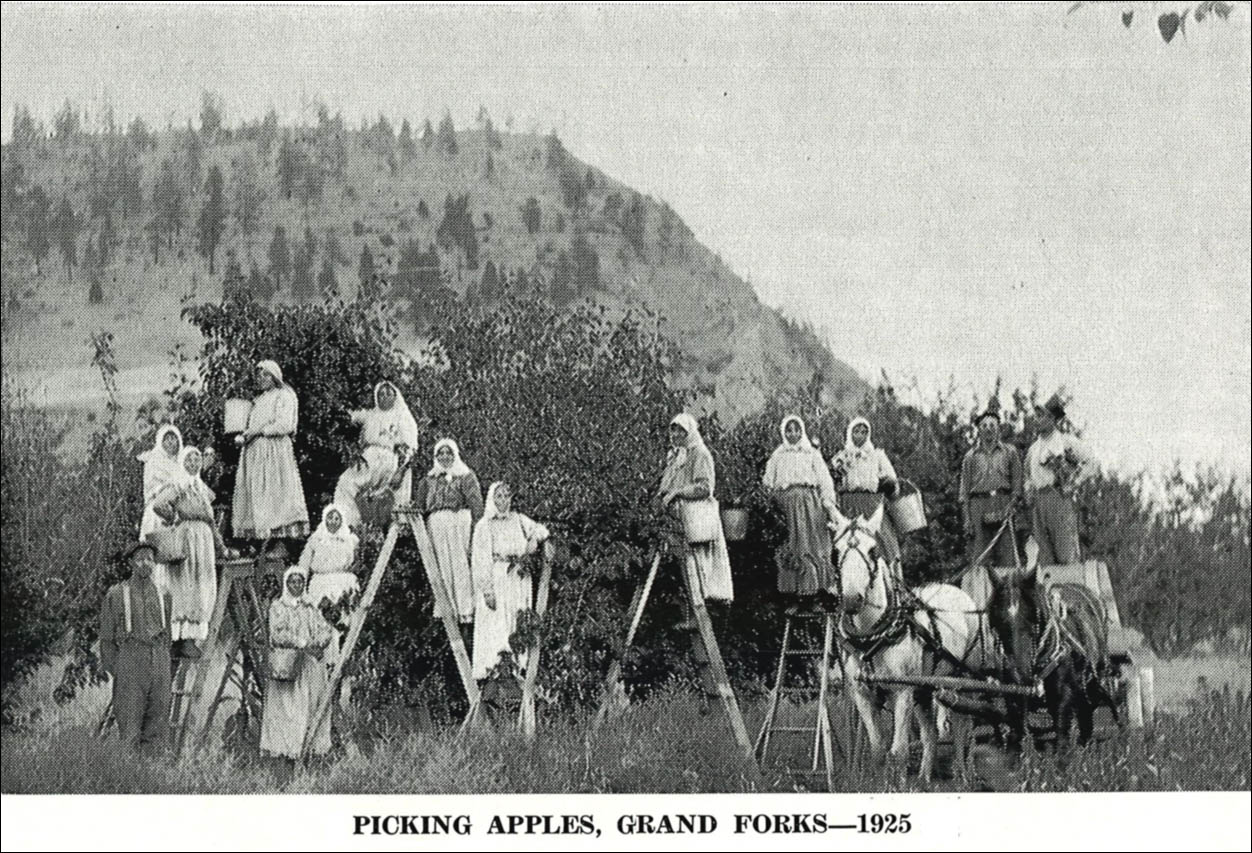 Doukhobor hay field workers